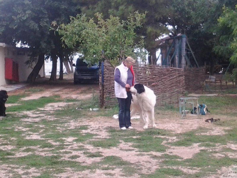 Фотография № 136187