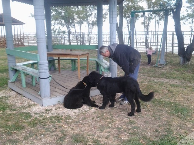 Фотография № 136190