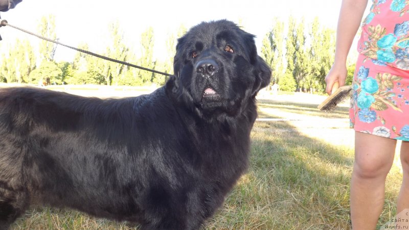 Фото: Svetlana Samborskaya (Светлана Самборская)