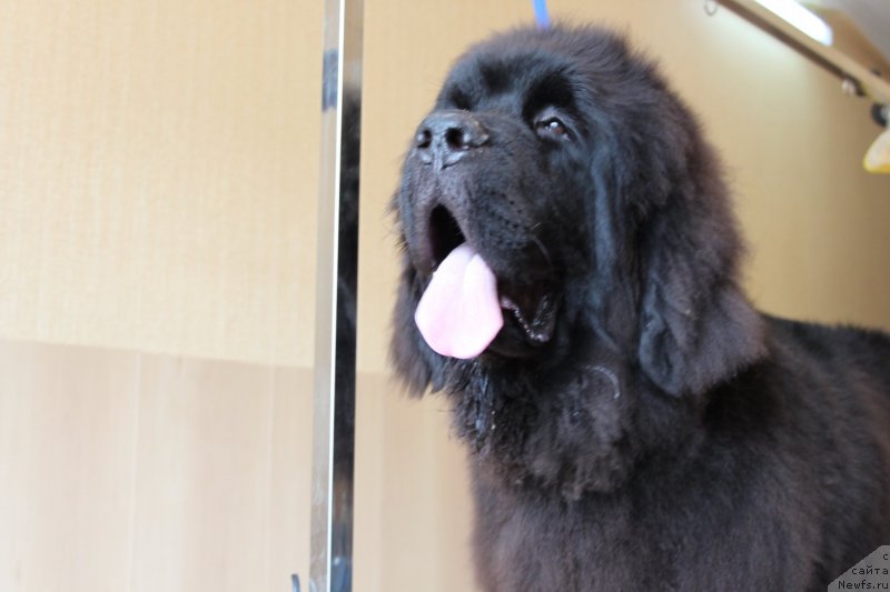 Фотография № 136193