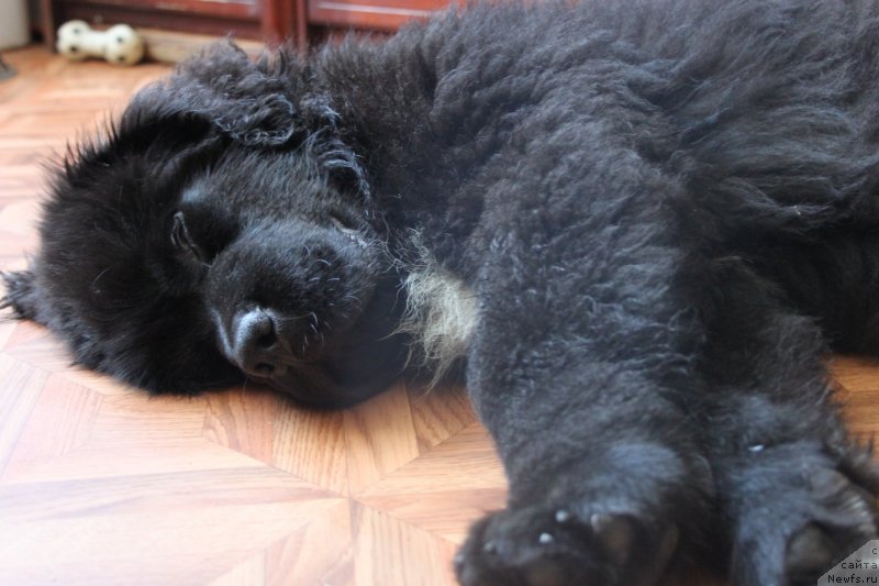 Фотография № 136194