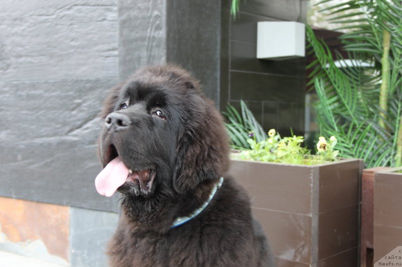 Фотография № 136195