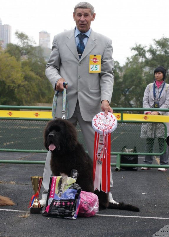 Фотография № 136196