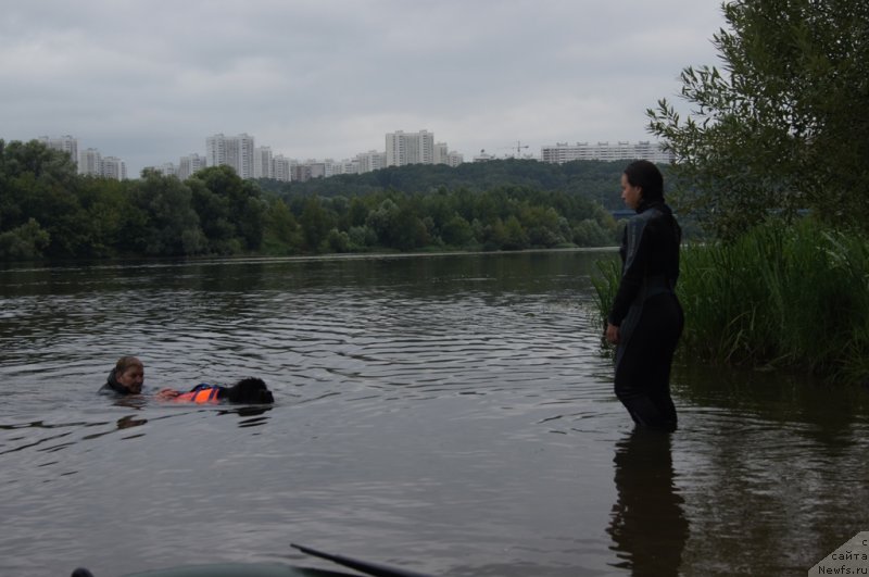 Фото: Galina Artyushina (Галина Артюшина), ньюфаундленд Beguschaya po Volnam Foget Mi Not (Бегущая по Волнам Фогет Ми Нот), Aleksandra Fetisova (Александра Фетисова)