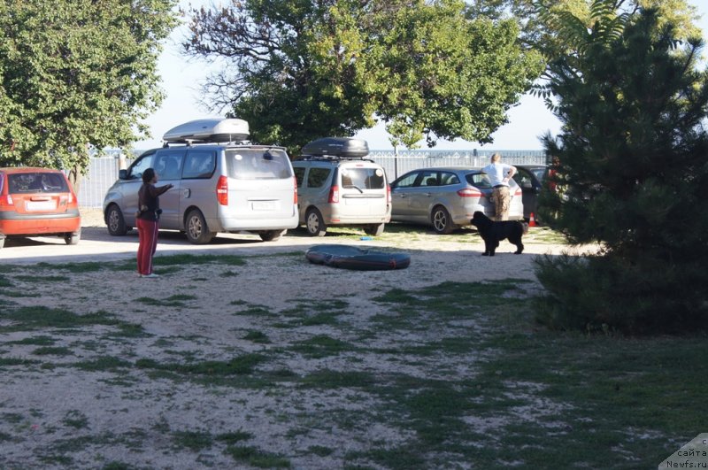 Фотография № 136241