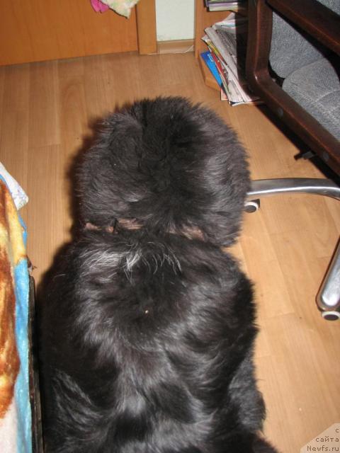 Фотография № 13626