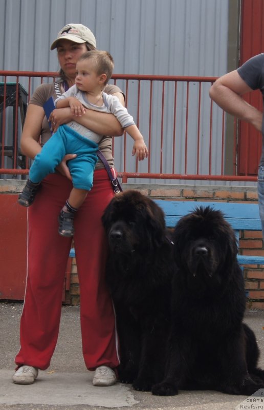 Фотография № 136261