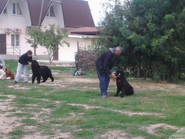 Фотография № 136288