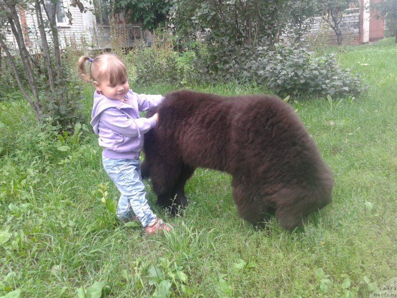 Фотография № 136311