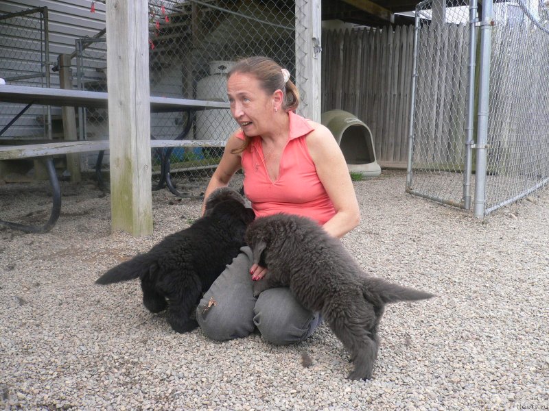 Фотография № 136335