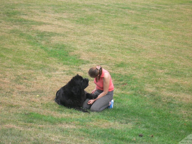 Фотография № 136339