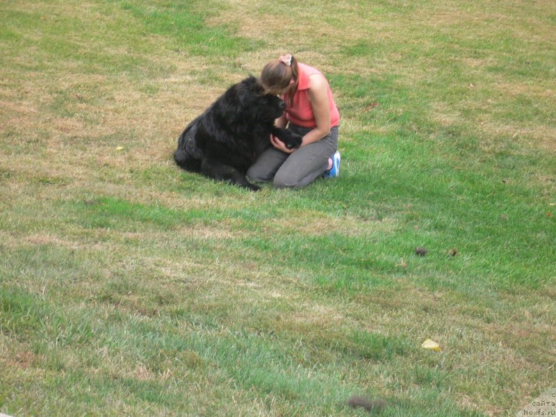 Фотография № 136340