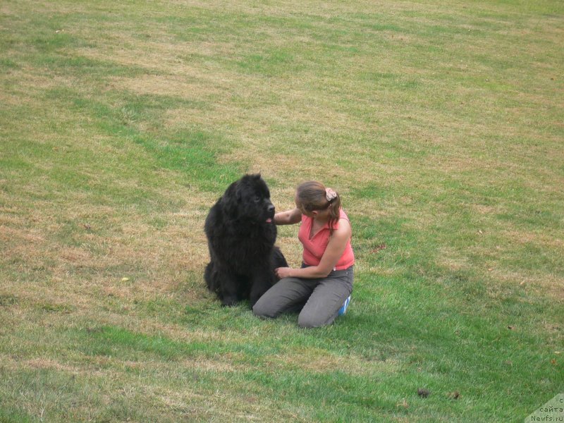 Фотография № 136342