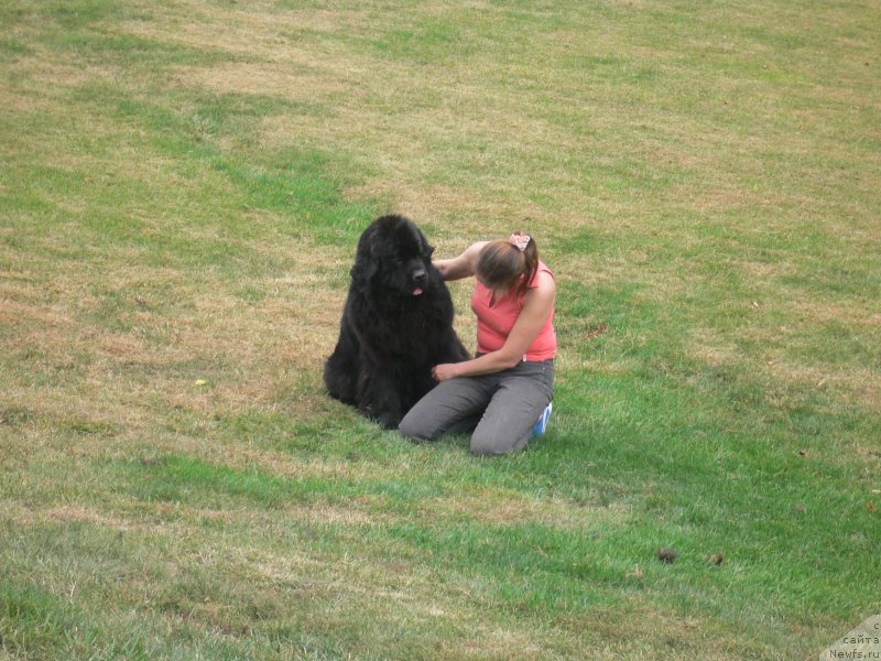 Фотография № 136343