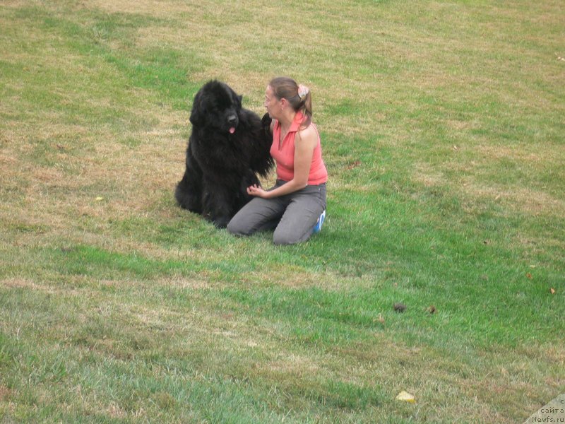 Фотография № 136344