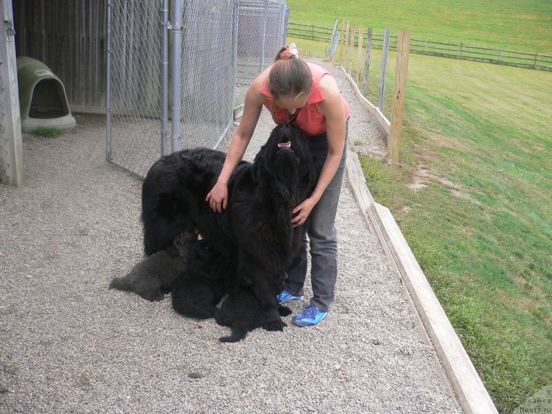 Фотография № 136345