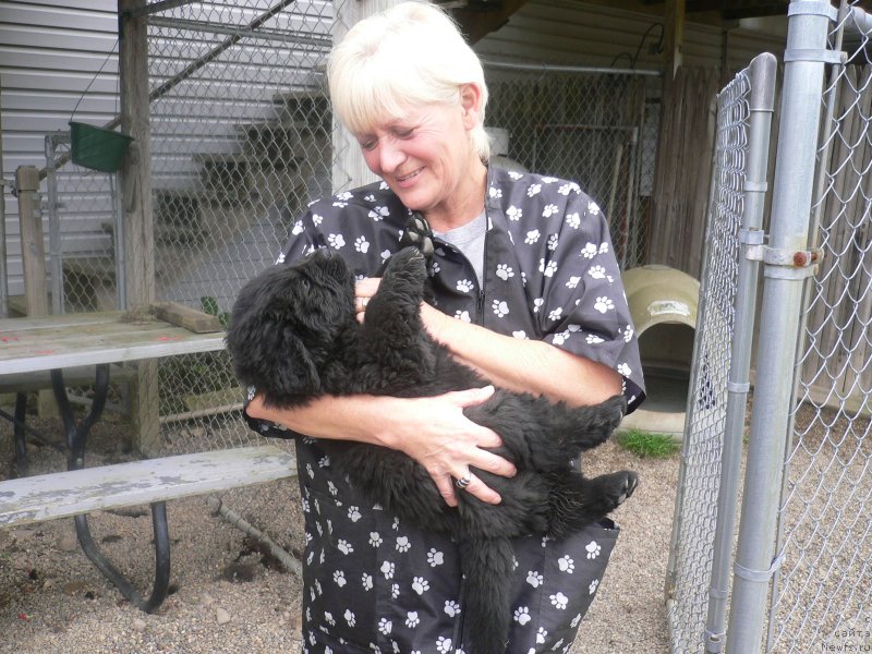 Фотография № 136346