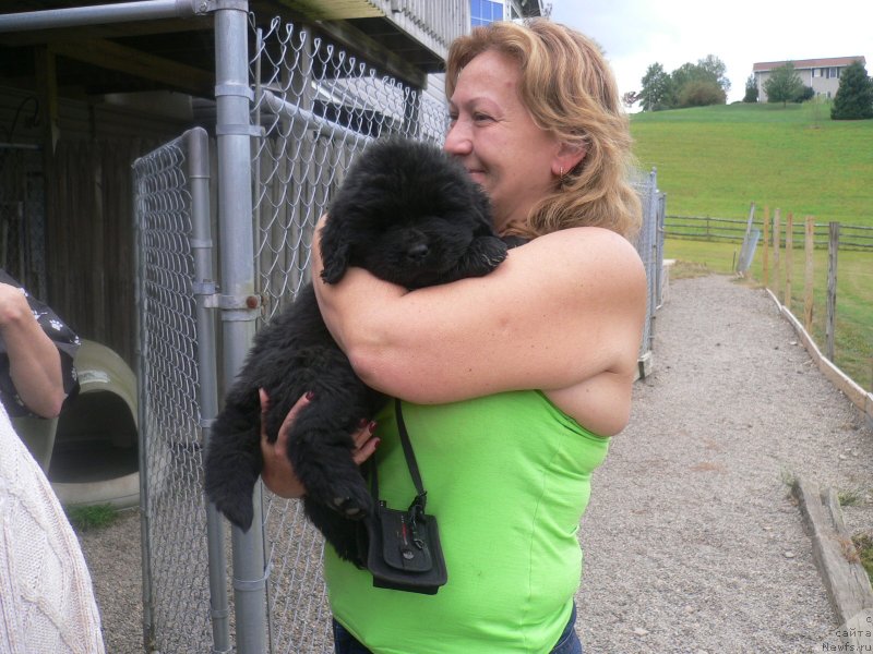 Фотография № 136348