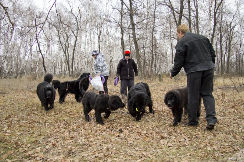 Фотография № 136369