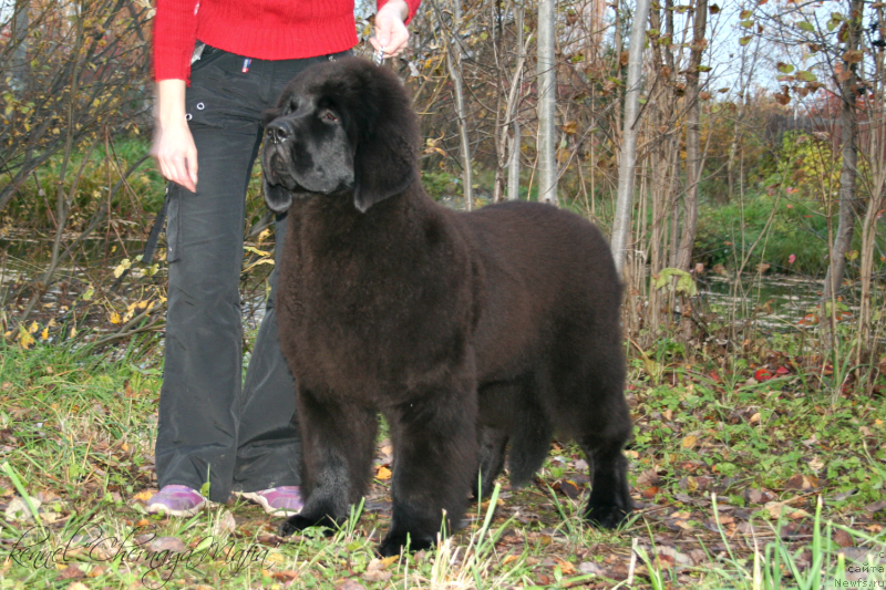 Фотография № 136379