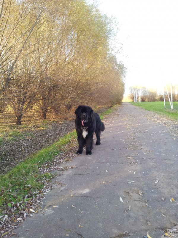 Фотография № 136426