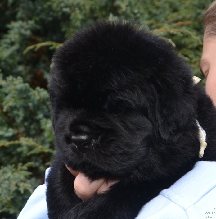 Фото: Мальчик бел. вер.