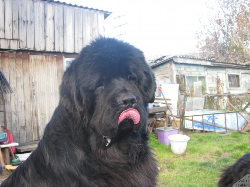 Фотография № 136470