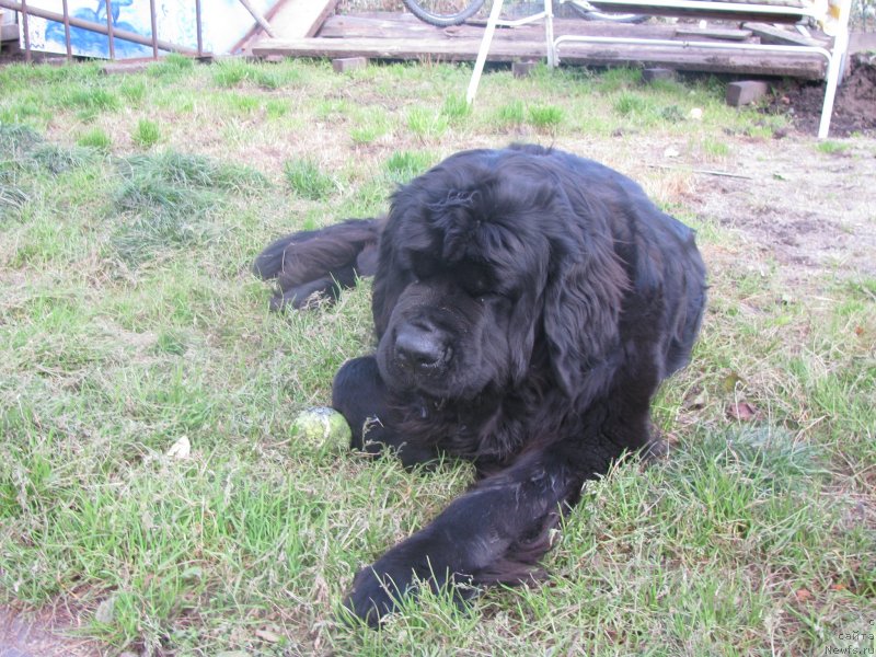 Фотография № 136473