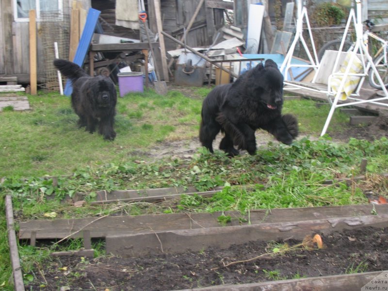 Фотография № 136474