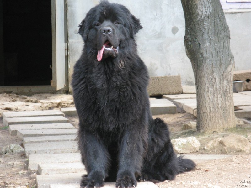 Фотография № 136476