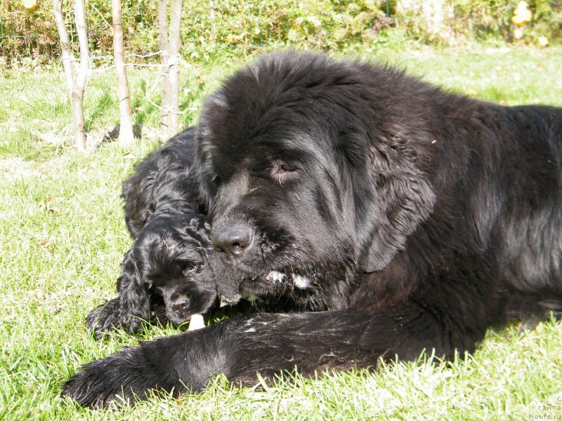 Фотография № 136492