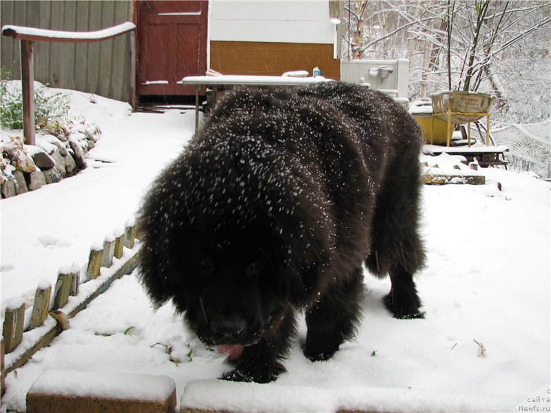 Фото: Sent Djons Zone Of Fire