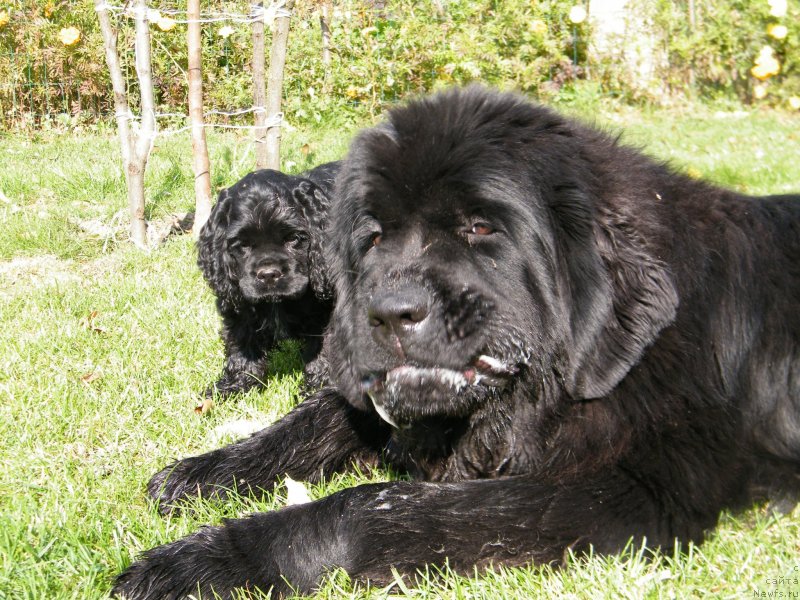 Фотография № 136502