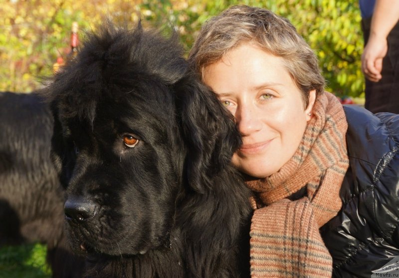 Фото: Natal'ya Selezneva (Наталья Селезнева), ньюфаундленд Tsinnamon Bel' Fra Sharmel iz Arkaima (Циннамон БельФра Шармэль из Аркаима)