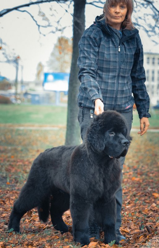 Фотография № 136540