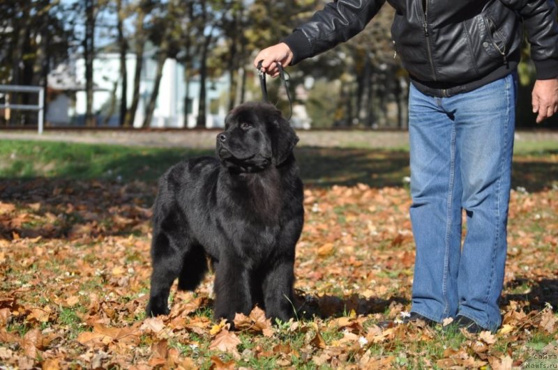 Фотография № 136554