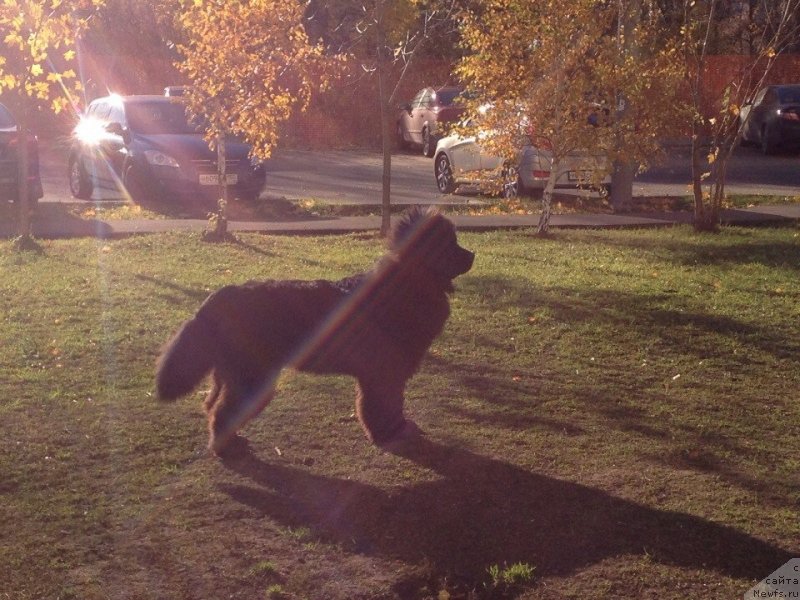 Фото: [d12194]Мартуська...