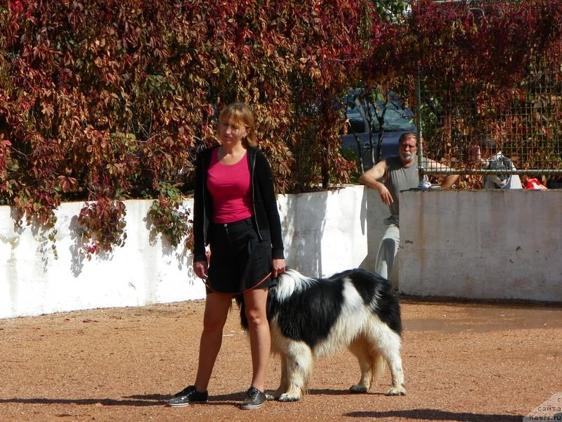 Фотография № 136619