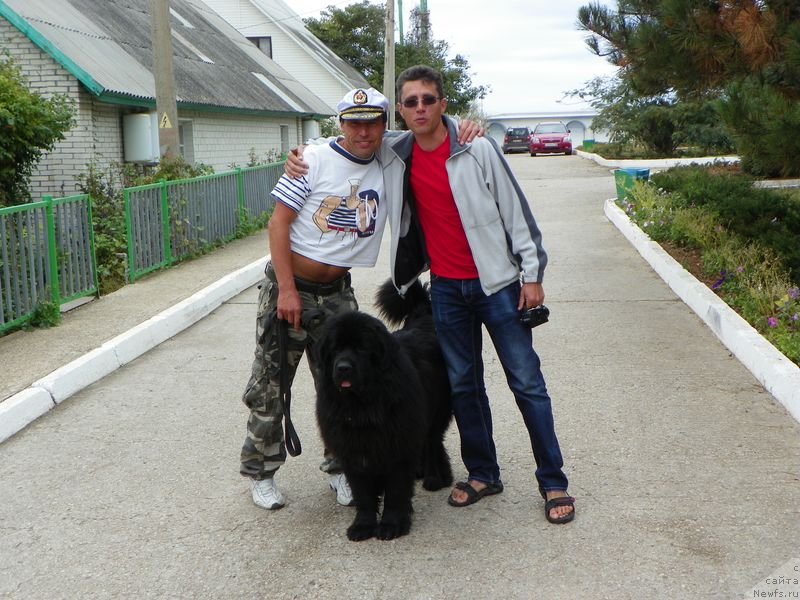 Фотография № 136621