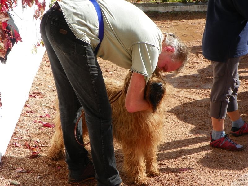 Фотография № 136622