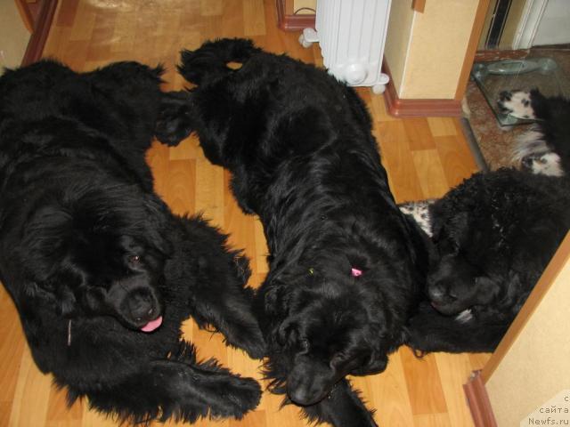 Фотография № 13665