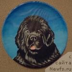 Фотография № 136721