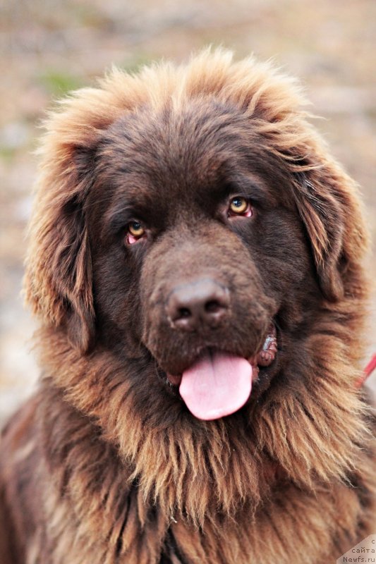 Фотография № 136735