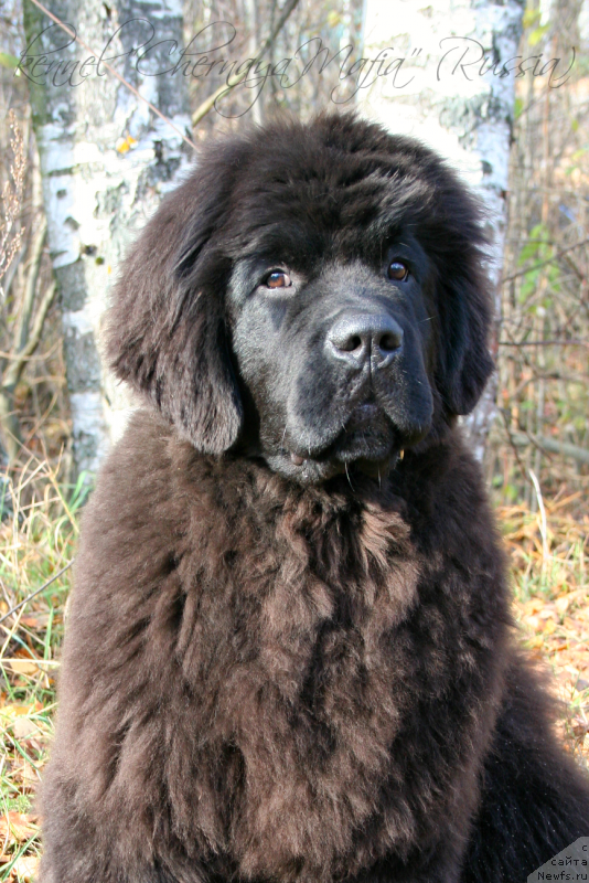 Фотография № 136760