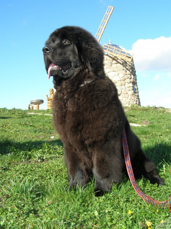 Фотография № 136843