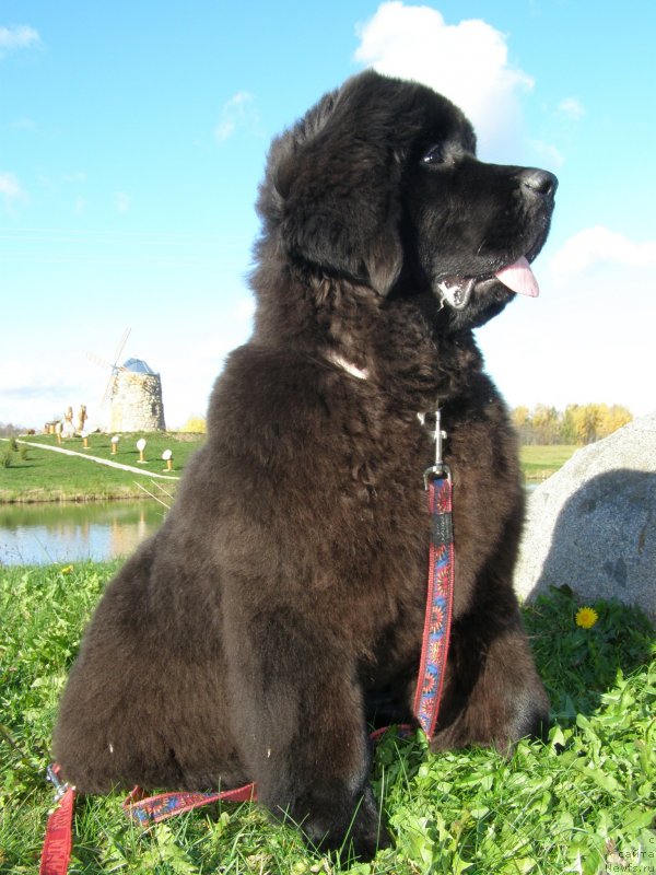 Фотография № 136846