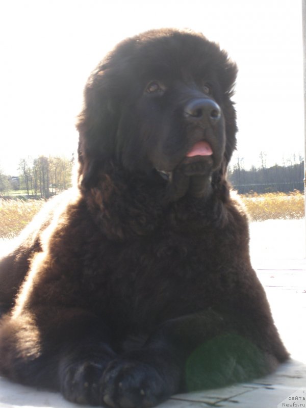 Фотография № 136848