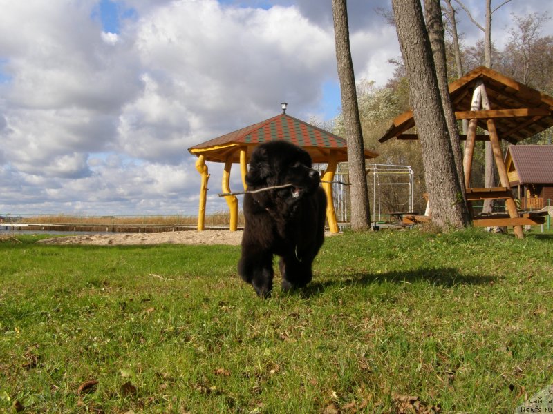 Фотография № 136850