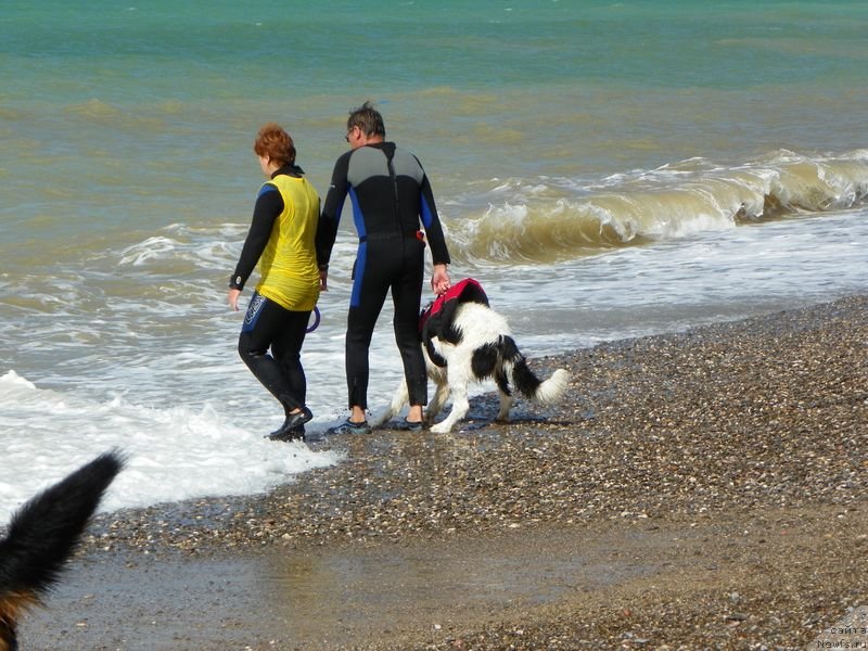 Фотография № 136945