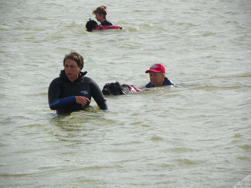 Фотография № 136949